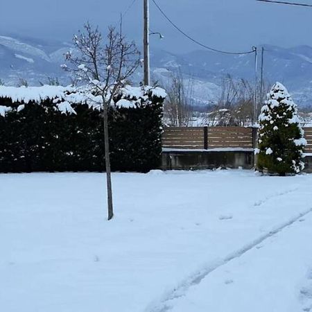 Galini Estate Apartment Karditsa Luaran gambar